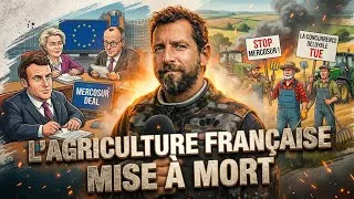 Miniature : MERCOSUR : ce qu'il en coûte de ne pas avoir bloqué le pays comme il se doit !