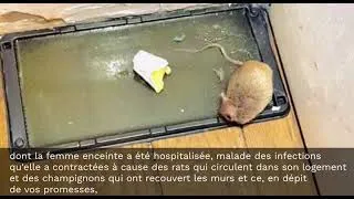 Miniature : Logement social à Montrouge : promesses bafouées et misère à tous les étages...