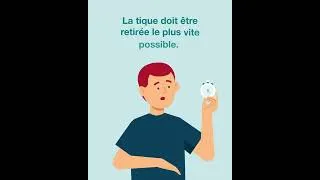 Miniature : iMpuls: Que faire en cas de piqûre de tique?