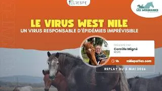 Miniature : WEBINAIRE - Le virus West Nile : un virus responsable d’épidémies imprévisibles