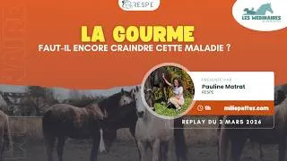 Miniature : WEBINAIRE - La gourme, faut-il encore craindre cette maladie ?