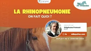 Miniature : WEBINAIRE - La rhino, comment on fait ?