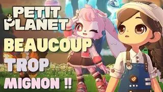 Miniature : 🌟Petit Planet (beta) : Nouvelle partie sur le Animal Crossing d'Hoyoverse !