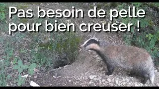 Miniature : 162-Miluline: Creuser sans outil ! par Mme Blaireau