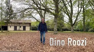 Miniature : Mostra della famiglia Roozi - Esposito
