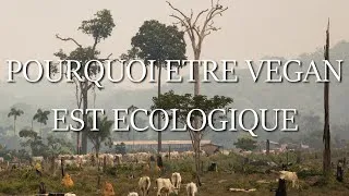 Miniature : Pourquoi être végétarien/vegan est écologique?