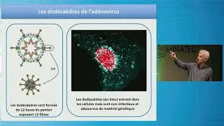 Miniature : Mimer les virus pour mieux les combattre
