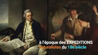Miniature : Annonce FB CNature Gateblé