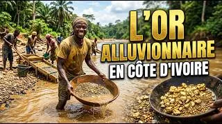 Miniature : L'OR ALLUVIONNAIRE