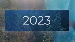 Miniature : 2023 End of Year Review
