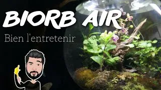 Miniature : BIORB AIR 60 : Comment bien le paramétrer et l'entretenir