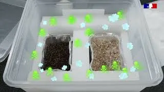 Miniature : Cultural heritage preservation – Protective storage boxes and other enclosures – episode 3/4