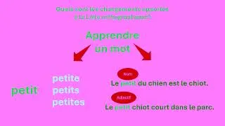 Miniature : La liste orthographique dans le programme de français, langue d’enseignement, du primaire