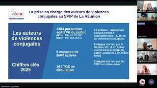 Miniature : Webinaire n°7 PND La Réunion – Stratégie des agresseurs et continuum des violences