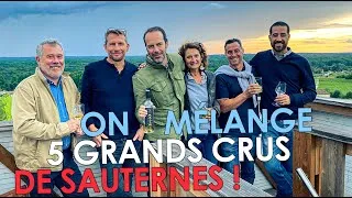 Miniature : Voyage incroyable à Sauternes ! Dégustations de 1ers grands crus et trottinette dans les vignes !