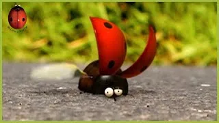 Miniature : On Your Marks, get set, go ! | Minuscule | 30' Compilation
