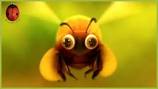 Miniature : Convoy | Minuscule 🐝 30' Compilation