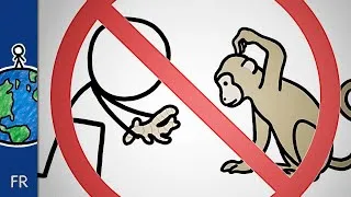 Miniature : Pourquoi il ne faut pas donner de gingembre aux singes (et autres expressions sur les animaux)