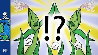 Miniature : La vie sociale (secrète) des plantes