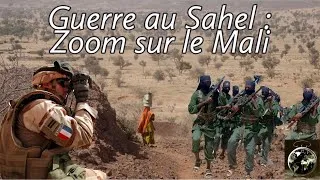 Miniature : La guerre au Sahel : Zoom sur le Mali (chronique géopolitique)