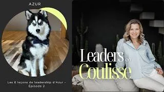 Miniature : Les 6 leçons de leadership d'Azur - Épisode 2