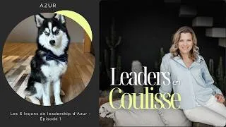 Miniature : Les 6 leçons de leadership d'Azur - Épisode 1