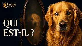 Miniature : Votre chien sait-il qui il est ? (la conscience canine)