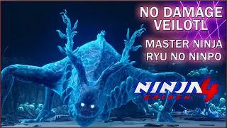 Miniature : NINJA GAIDEN 4 – VEILOTL : NO DAMAGE MASTER NINJA (RYU)