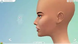 Miniature : Let's Play Sims 4 / Random Legacy Challenge #1