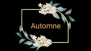 Miniature : Automne 2021 fall #fallwinter2021#dresses #robesautomne #misscocarli #vintageclothing #vintagestyle