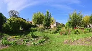 Miniature : Caen - Abbaye d'Ardenne #5 |🇨🇵| Immersion 360° VR 4K 