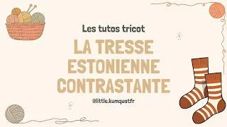 Miniature : Tuto tricot - La tresse estonienne contrastante (la fameuse petite tresse horizontale)