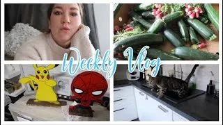 Miniature : | Weekly Vlog | Nouveau membre dans la famille? Sortie en amoureux, retour du salon du mariage, Psy