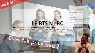 Miniature : BTS NDRC, c'est quoi ?