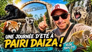 Miniature : 🔥 UN ÉTÉ À PAIRI DAIZA 🐼☀️ | Notre Journée INCROYABLE au Cœur du Parc !
