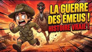 Miniature : L’Australie a perdu une guerre contre des oiseaux histoire vraie