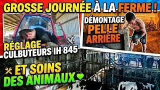Miniature : Grosse journée à la ferme !!!