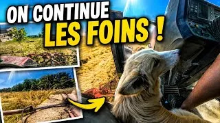 Miniature : ON continue les foins