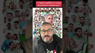 Miniature : L’Algérie, qualifiée à la coupe du monde. Et maintenant?! 