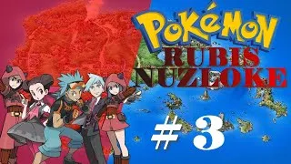 Miniature : Pokémon Rubis Nuzloke # 03