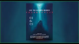 Miniature : Les Toiles mécaniques (Official selection)