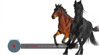 Miniature : old town road remix nul