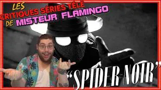 Miniature : J'ai Regardé La Série SPIDER-NOIR Sur Prime Video | Misteur Flamingo