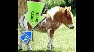 Miniature : Presentation de ma chaine gaming par une video WTF