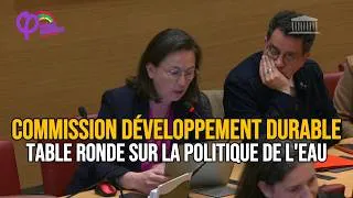Miniature : Garantir l'accès à l'eau potable - Murielle Lepvraud en Commission Développement Durable