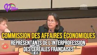 Miniature : Les usages de la phosphine - M. Lepvraud en Commission des affaires écconomiques