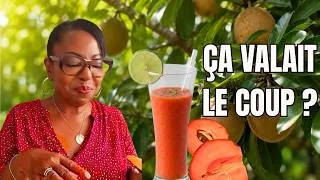 Miniature : J'ai trouvé ce fruit rare.. Est-ce que ça valait vraiment le coup ?