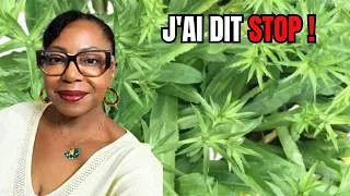 Miniature : J'ai enfin arrêté de faire passer les autres avant moi !