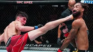 Miniature : UFC VEGAS 34 : THE MOST IMPRESSIVE KO OF THE YEAR !!