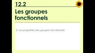 Miniature : 12.2c - Les propriétés des groupes fonctionnels